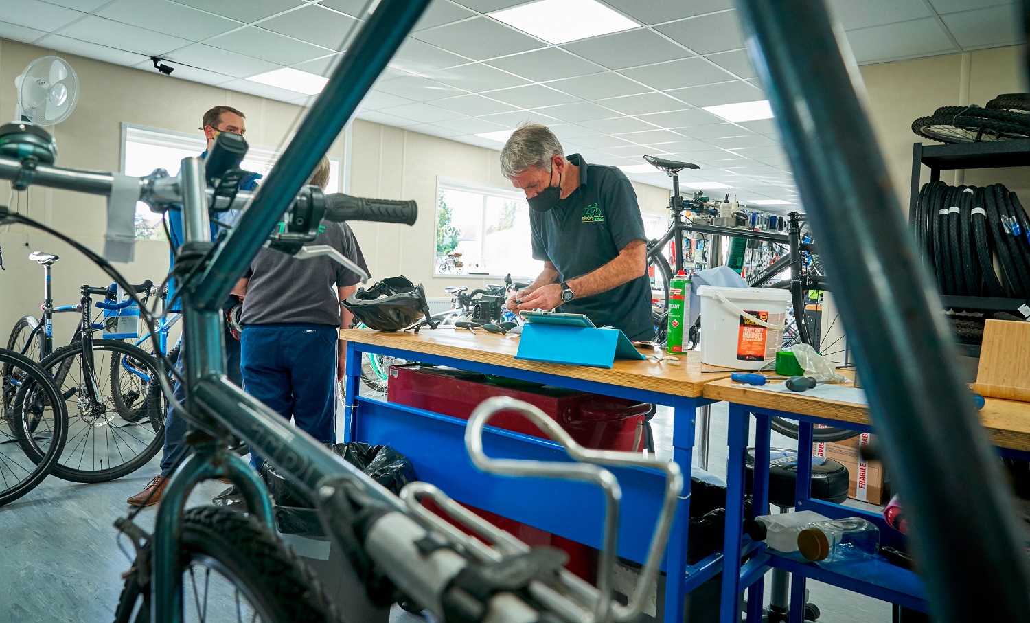 Essential Bike Service (parts extra)