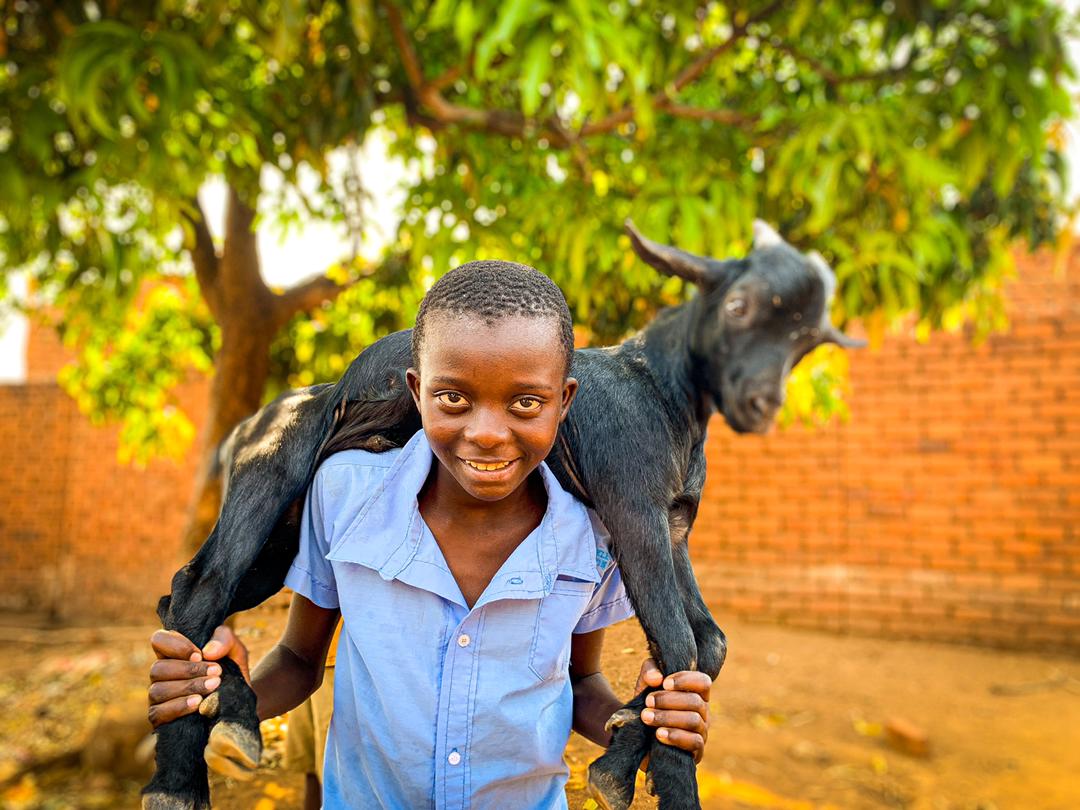 Buy a Goat