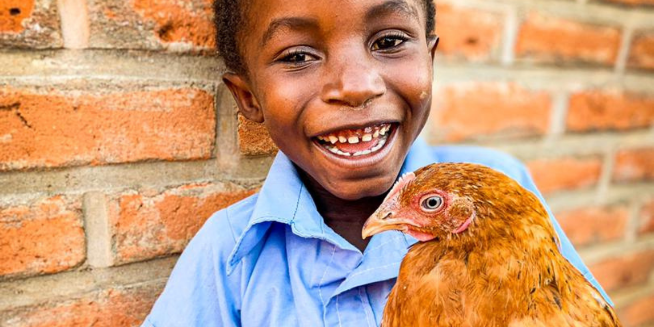 Buy a Chicken