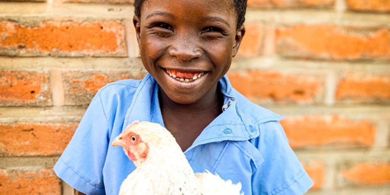 Buy a Chicken