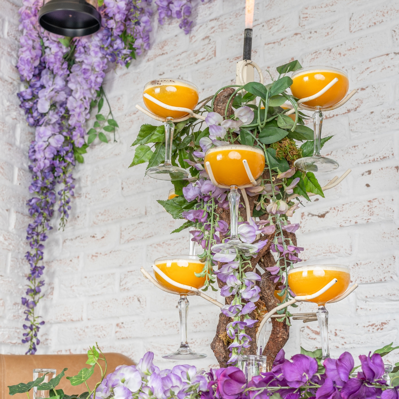Pornstar Martini Wisteria Tree