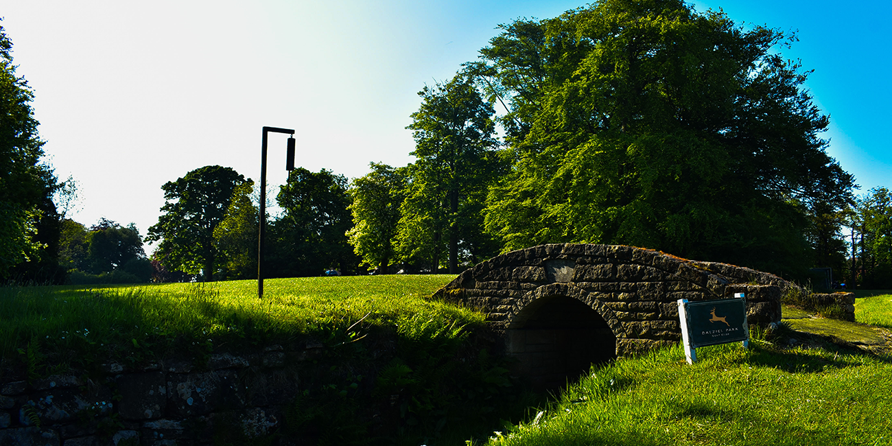 Burgers and Bunkers at Dalziel Park