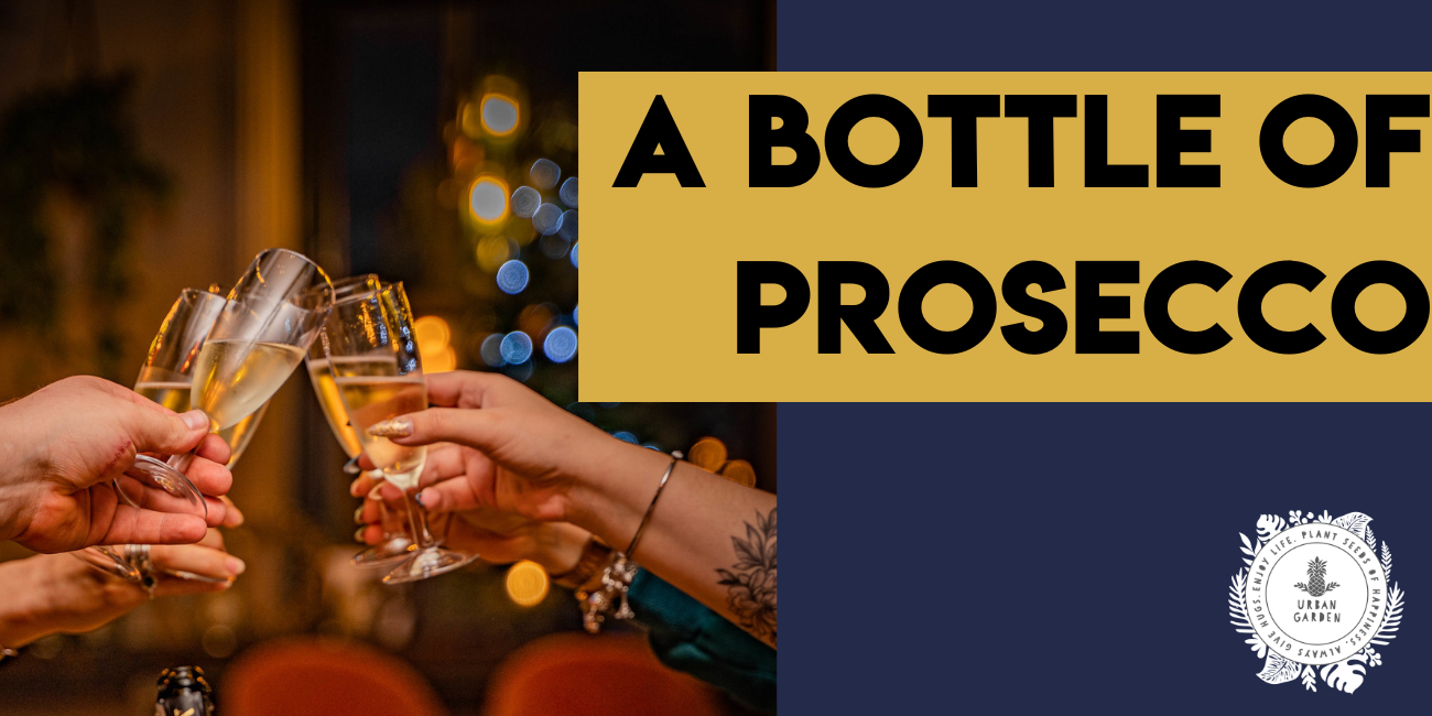 A bottle of Prosecco Portenova, Italy