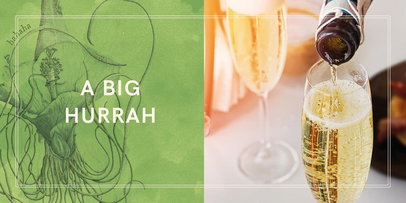 Congratulations - let's celebrate you!