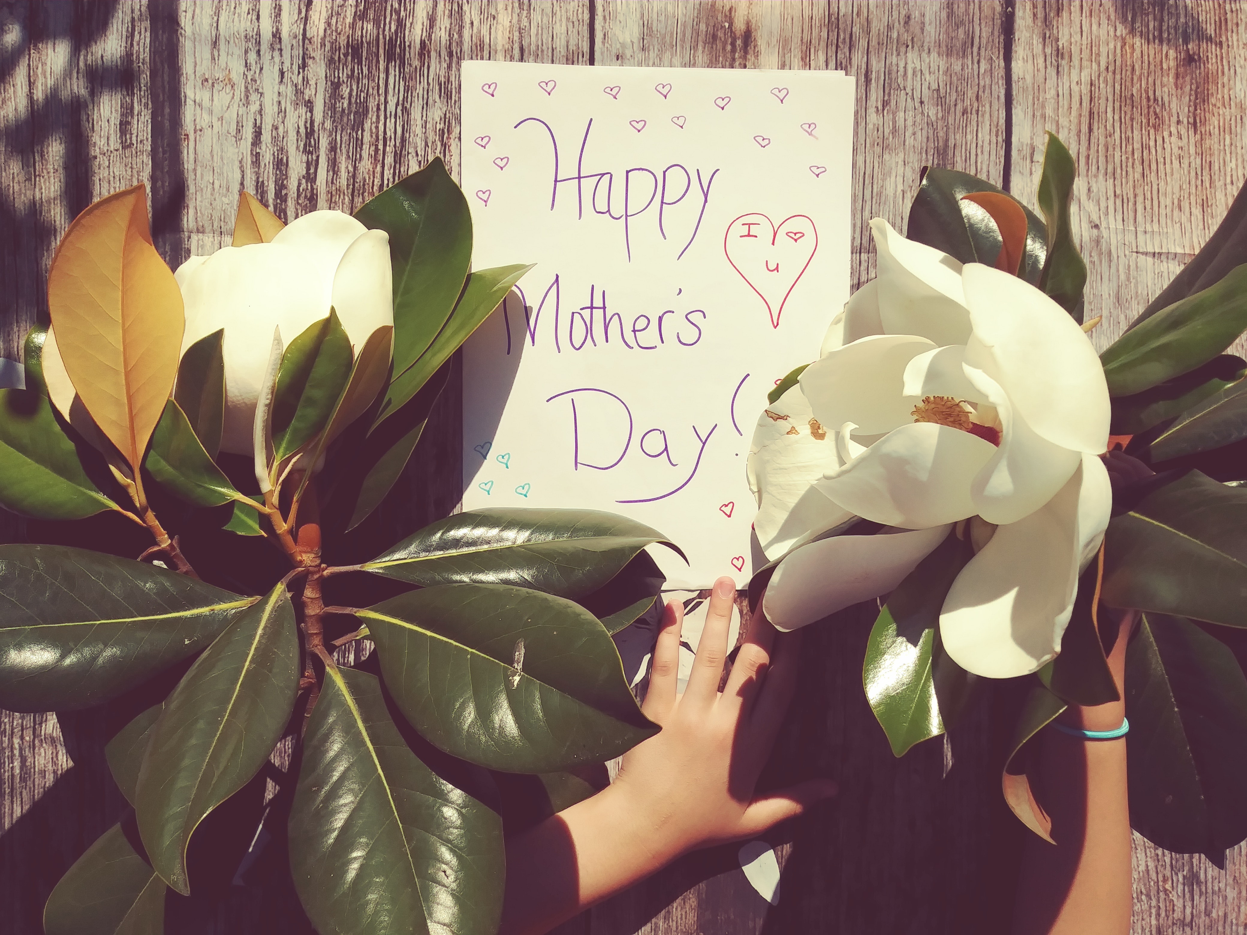 Happy Mother's Day