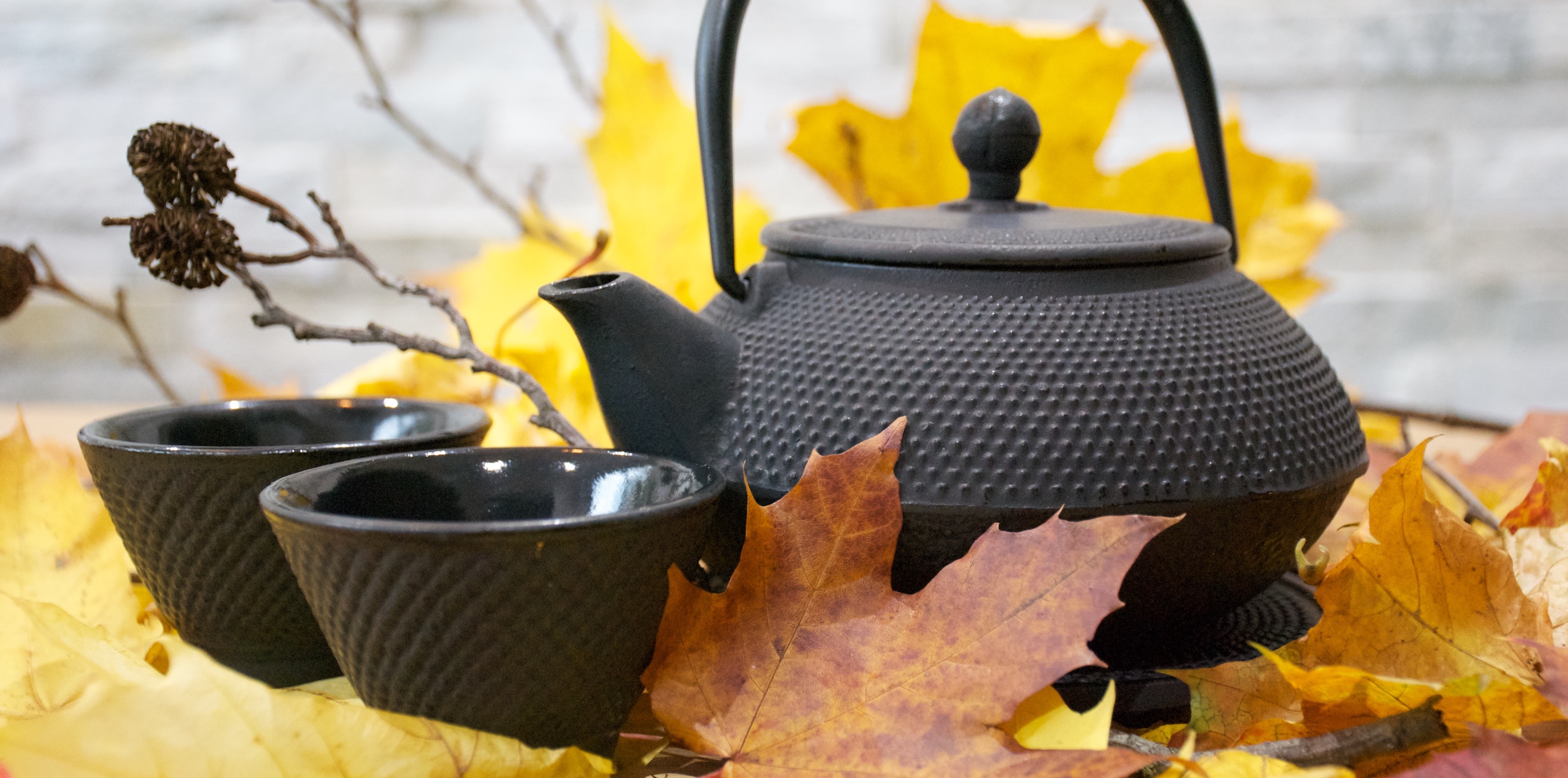 Cast Iron Teapot Set (0.7L)