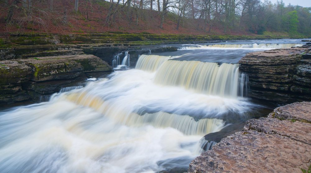 Aysgarth Afternoon Tea for Two