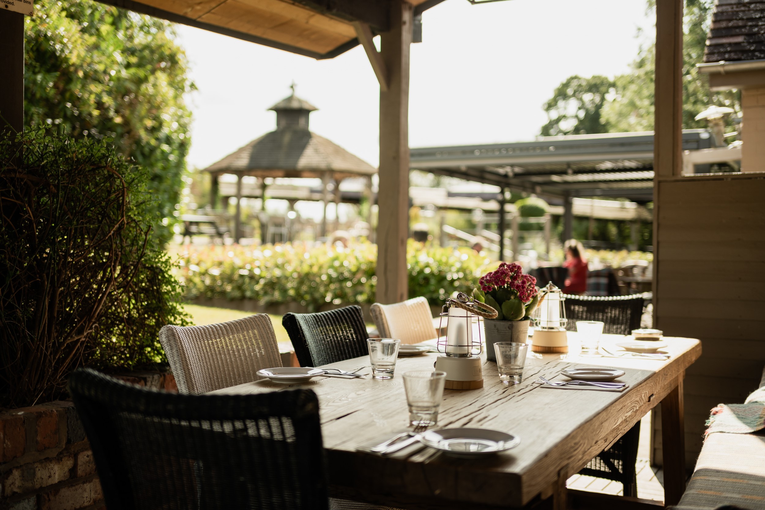 The Orange Tree Gift Card